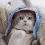 Jorge Treviño Avatar