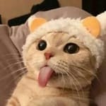 Luis Felipe Esquivel Avatar