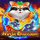 Mapache ninja